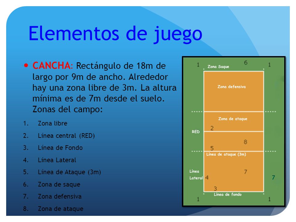 elementos de voleibol